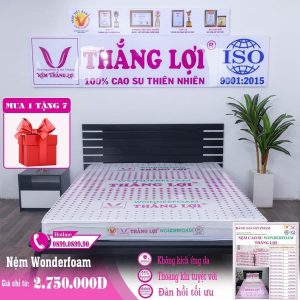 NỆM CAO SU WONDER FOAM THẮNG LỢI