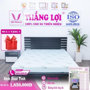 NỆM CAO SU HOẠT TÍNH THẮNG LỢI