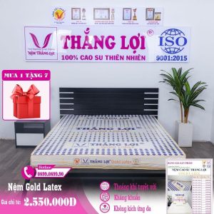 NỆM CAO SU GOLD LATEX THẮNG LỢI