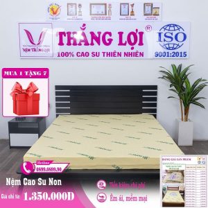 NỆM CAO SU NON THẮNG LỢI