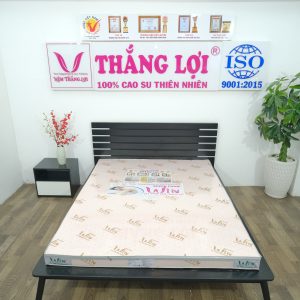 NỆM SUPER WIN FOAM