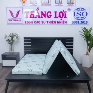Nệm Cao Su Thiên Nhiên Super Win Gấp 3