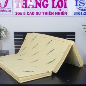 Nệm Cao Su Non Thắng Lợi Gấp 3