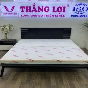 NỆM FOAM CAO CẤP MASSAGE THẮNG LỢI