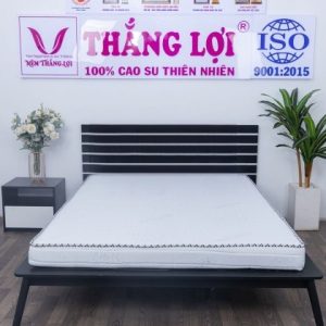 NỆM MEMORY FOAM THẮNG LỢI