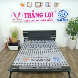 Nệm Cao Su Foam Hoạt Tính